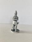 HIN42/P02 - The Duke of Wellington
